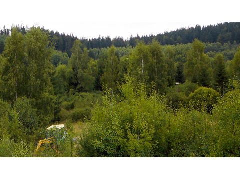 Foto 14